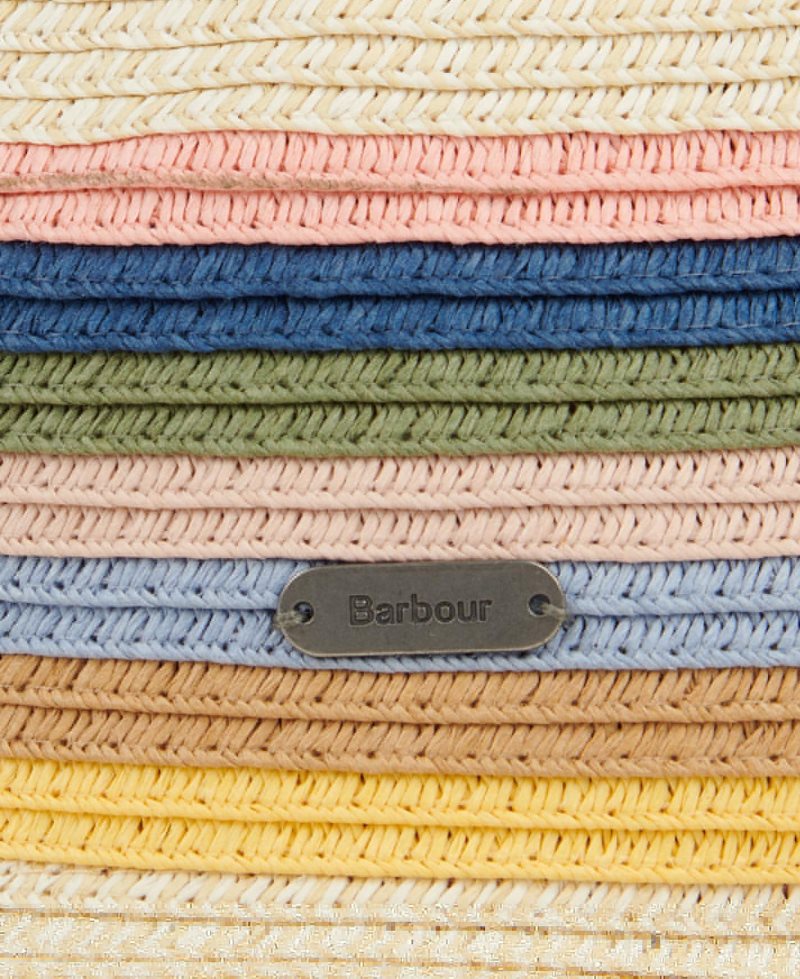 Natural Rainbow Barbour Penfor Rainbow Fedora | EGW-125860